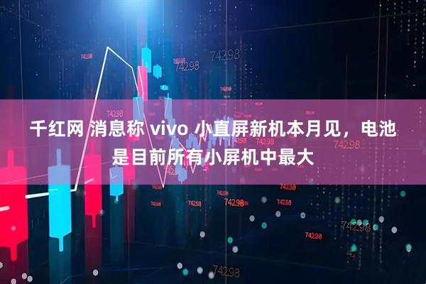 千红网 消息称 vivo 小直屏新机本月见，电池是目前所有小屏机中最大