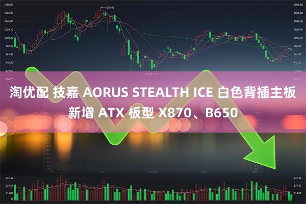 淘优配 技嘉 AORUS STEALTH ICE 白色背插主板新增 ATX 板型 X870、B650