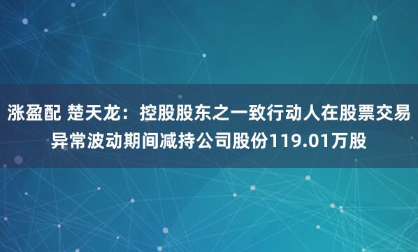 涨盈配 楚天龙：控股股东之一致行动人在股票交易异常波动期间减持公司股份119.01万股