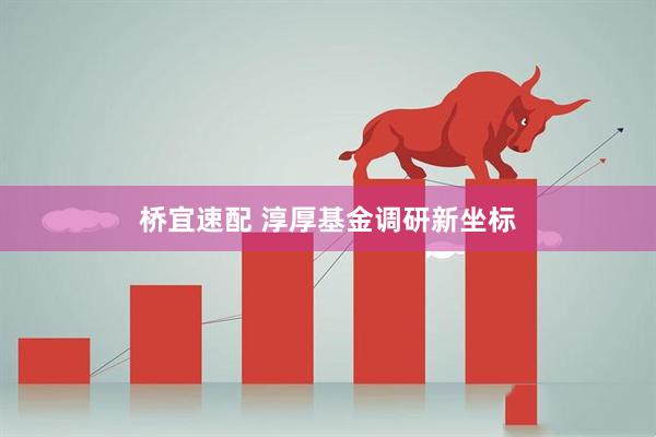 桥宜速配 淳厚基金调研新坐标