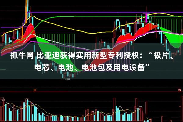 抓牛网 比亚迪获得实用新型专利授权：“极片、电芯、电池、电池包及用电设备”