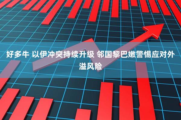 好多牛 以伊冲突持续升级 邻国黎巴嫩警惕应对外溢风险