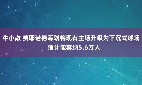 牛小散 费耶诺德筹划将现有主场升级为下沉式球场，预计能容纳5.6万人